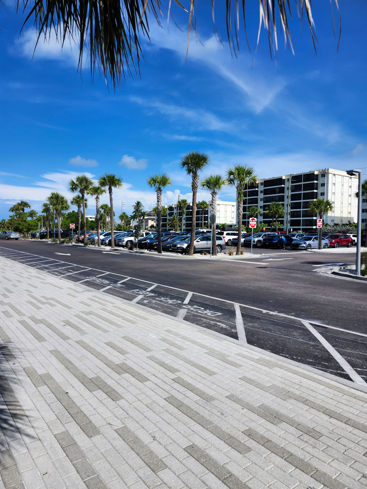 Palm-lined public parking area near Siesta Key Beach